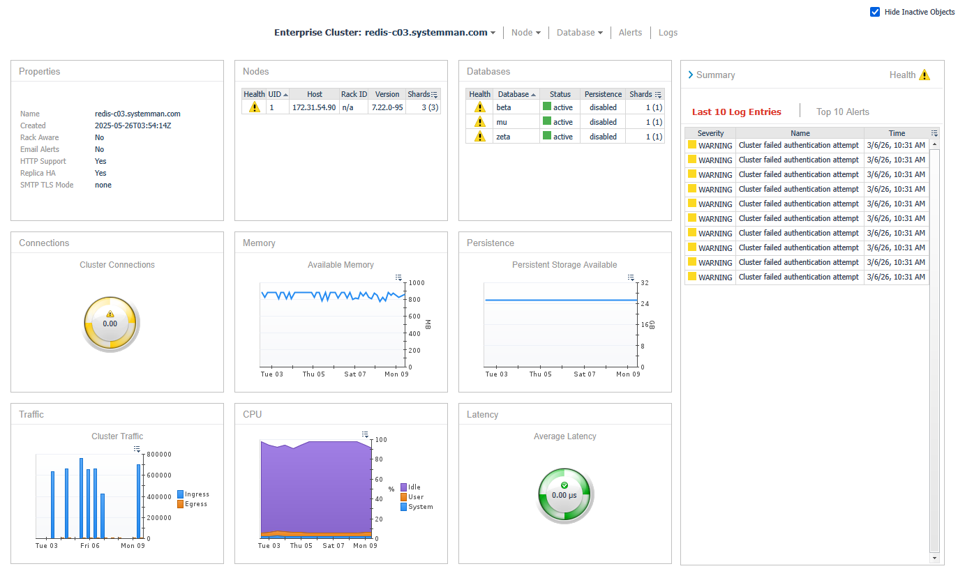 Redis Enterprise Cluster